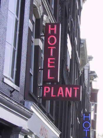 Hotel Plant, Amsterdam