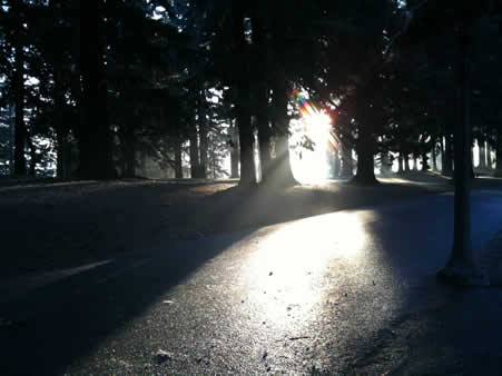 On top of Mt. Tabor, looking east, 8:23am 13 December 2009