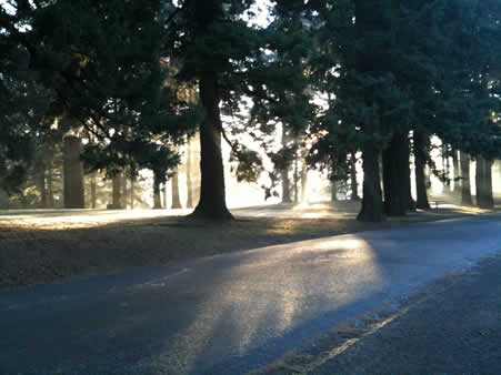 On top of Mt. Tabor, looking east, 8:25am 13 December 2009